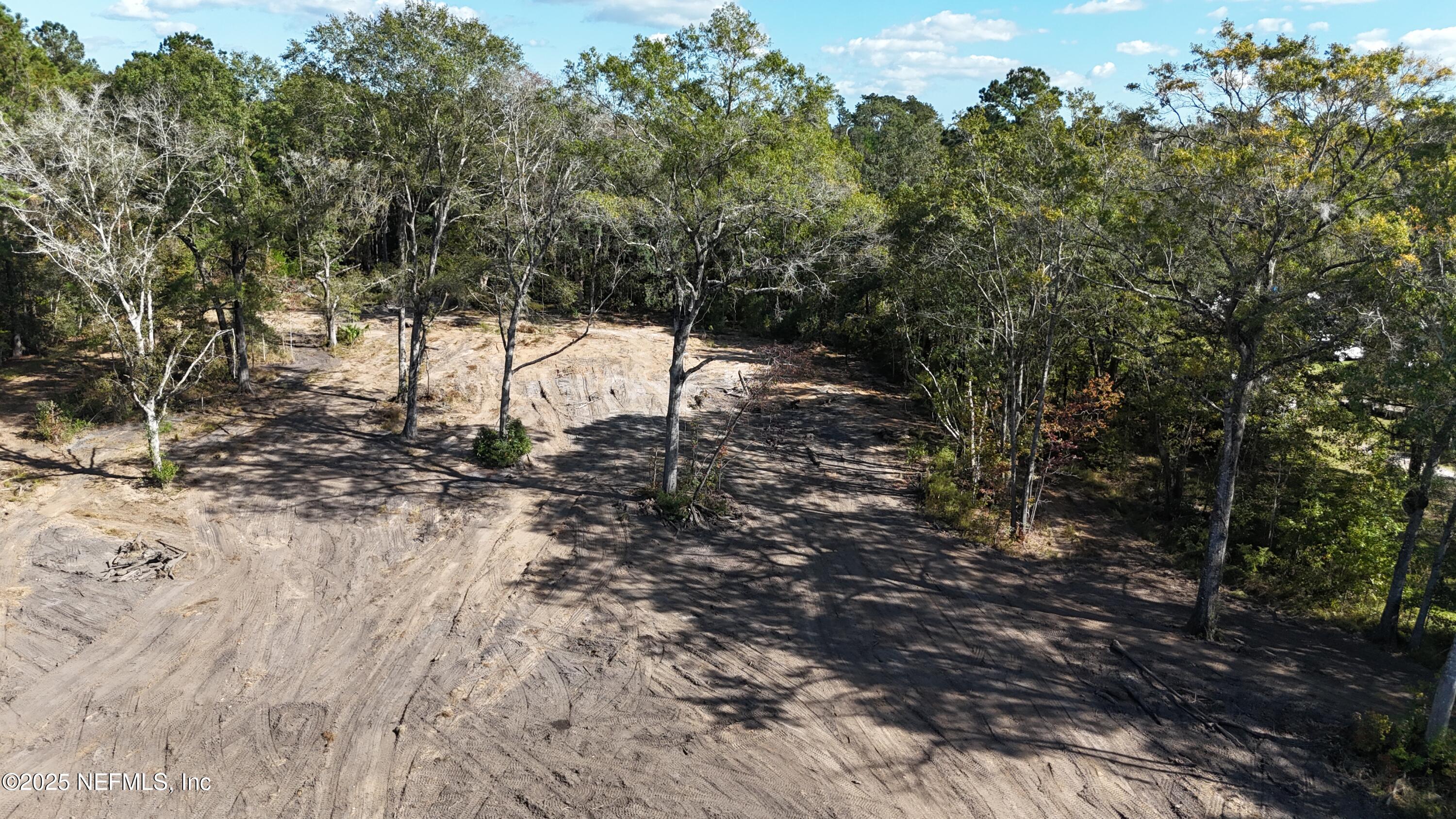 0 Wilbur Jones Road Callahan, FL 32011 - Photo 14 of 31 a view of a forest covered with trees