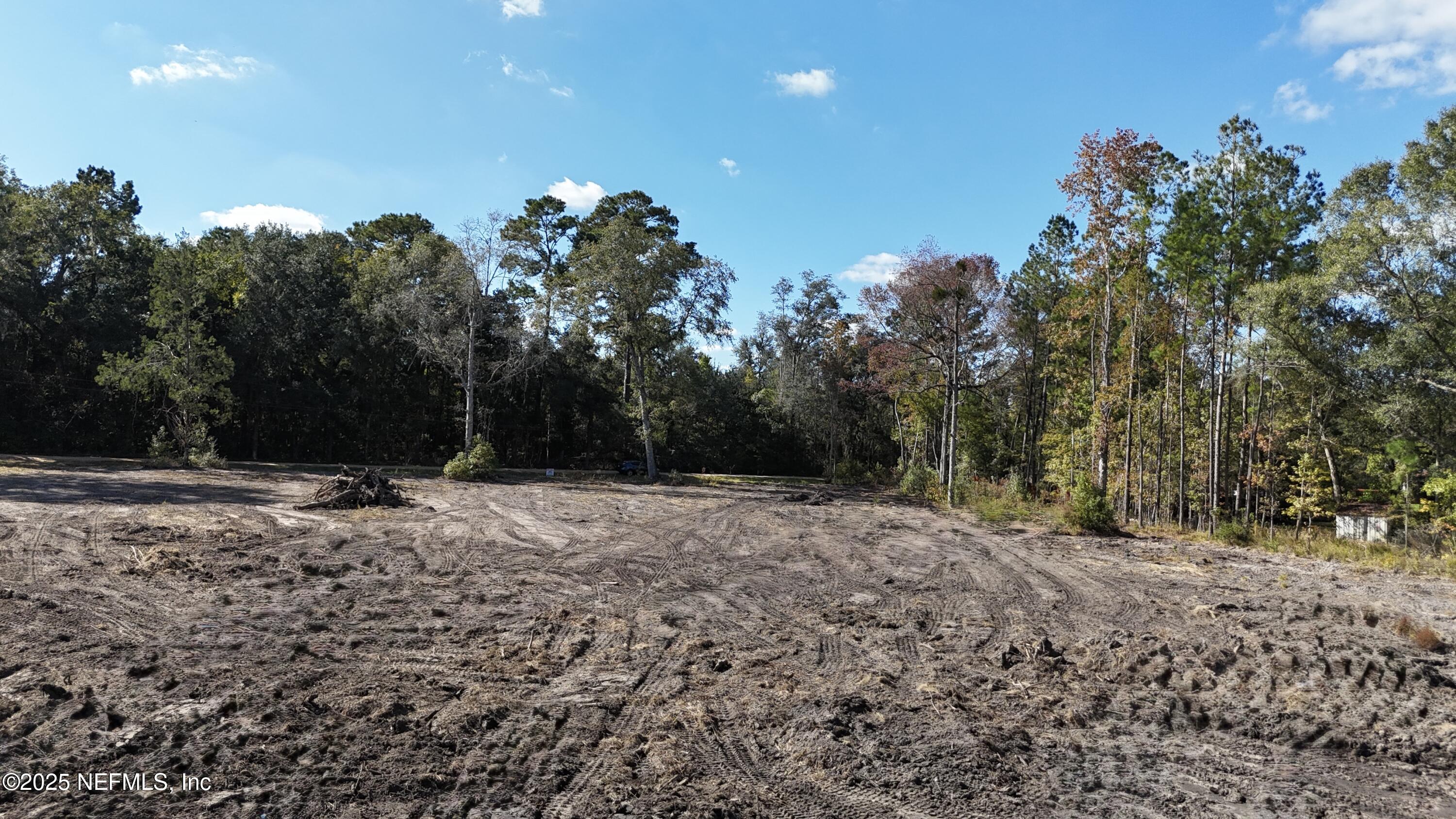 0 Wilbur Jones Road Callahan, FL 32011 - Photo 15 of 31 a backyard of a house with lots of green space