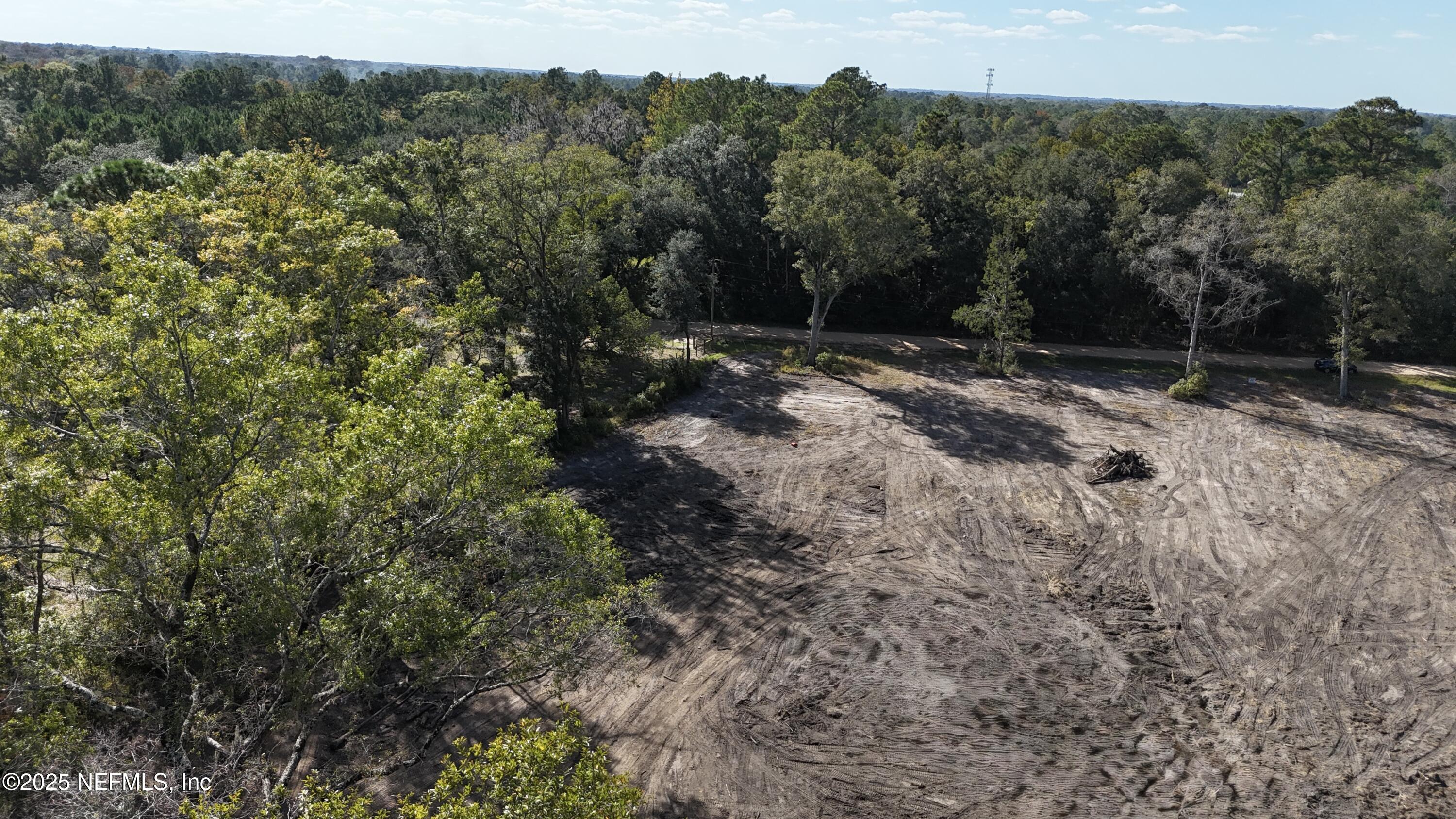 0 Wilbur Jones Road Callahan, FL 32011 - Photo 16 of 31 a view of a forest with a tree