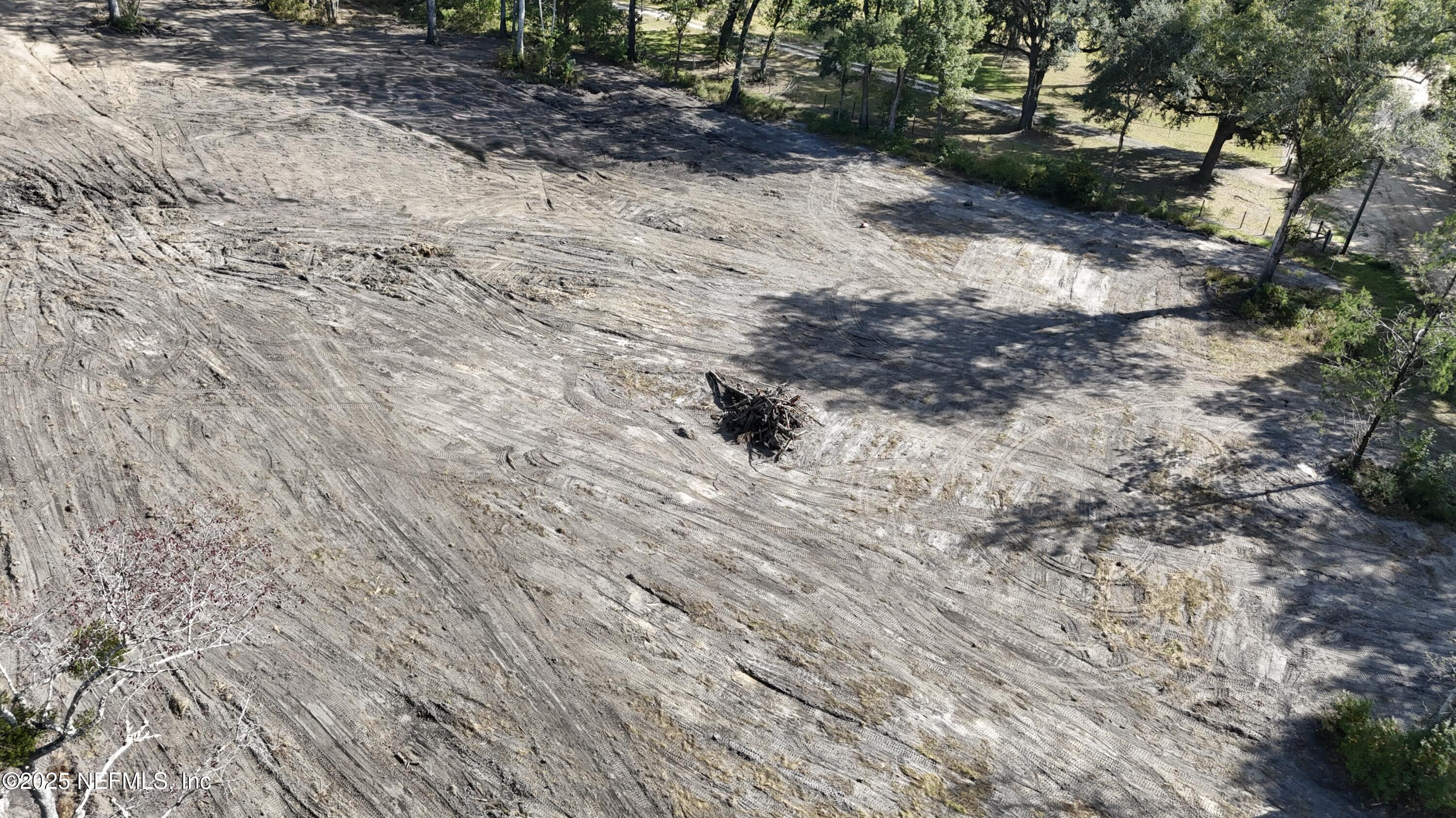 0 Wilbur Jones Road Callahan, FL 32011 - Photo 19 of 31 a view of a yard with a tree