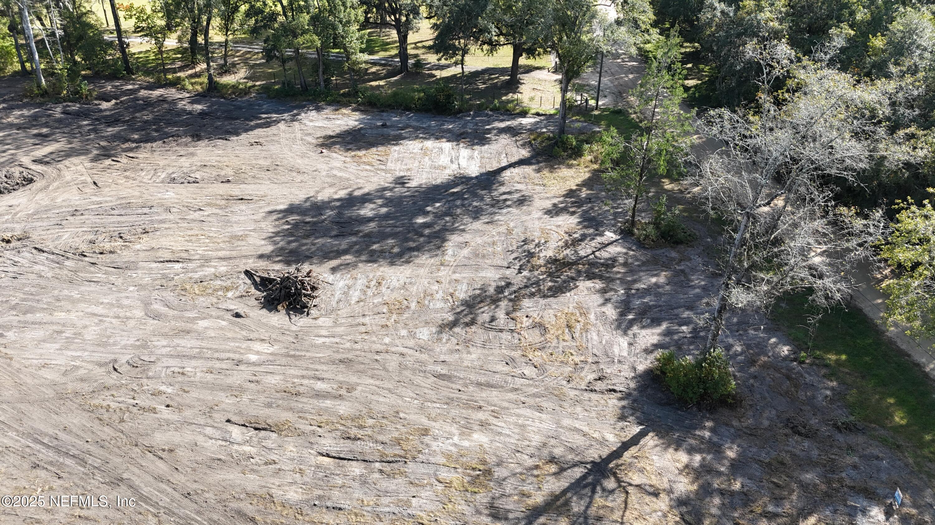 0 Wilbur Jones Road Callahan, FL 32011 - Photo 20 of 31 a view of a dry yard with trees