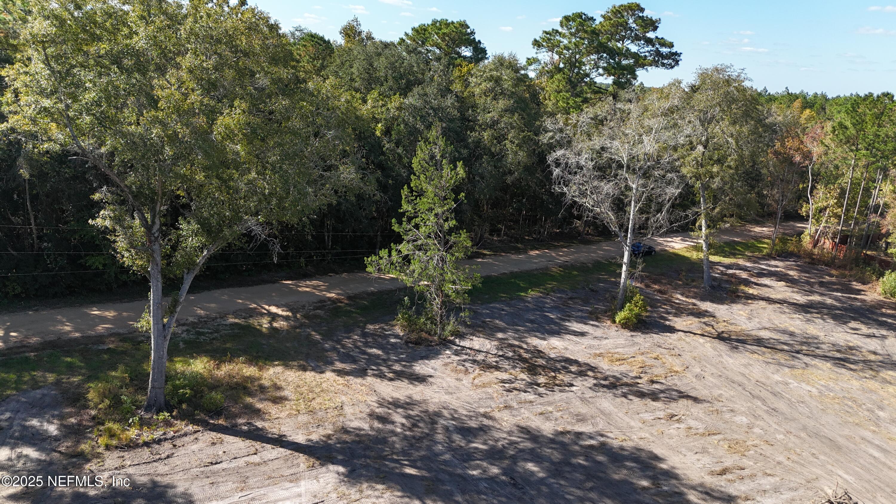0 Wilbur Jones Road Callahan, FL 32011 - Photo 23 of 31 a view of a forest filled with trees