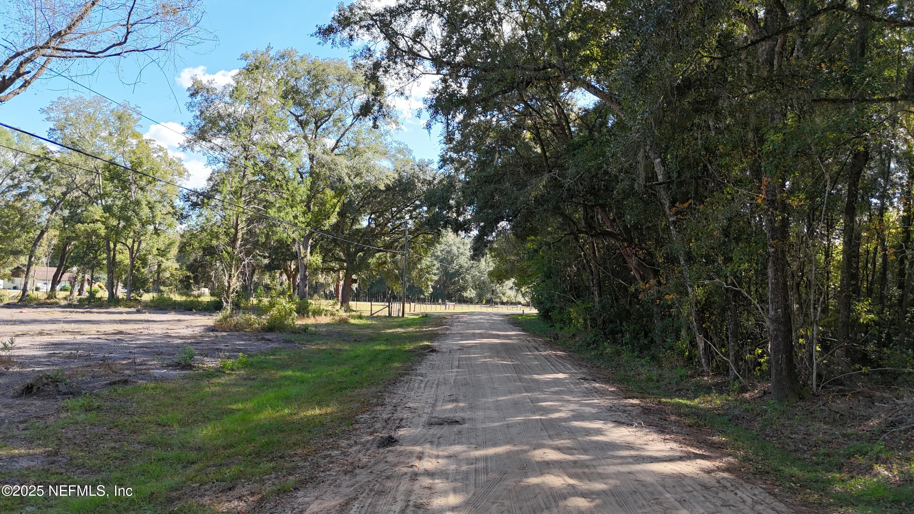 0 Wilbur Jones Road Callahan, FL 32011 - Photo 24 of 31 a view of a yard with plants and trees