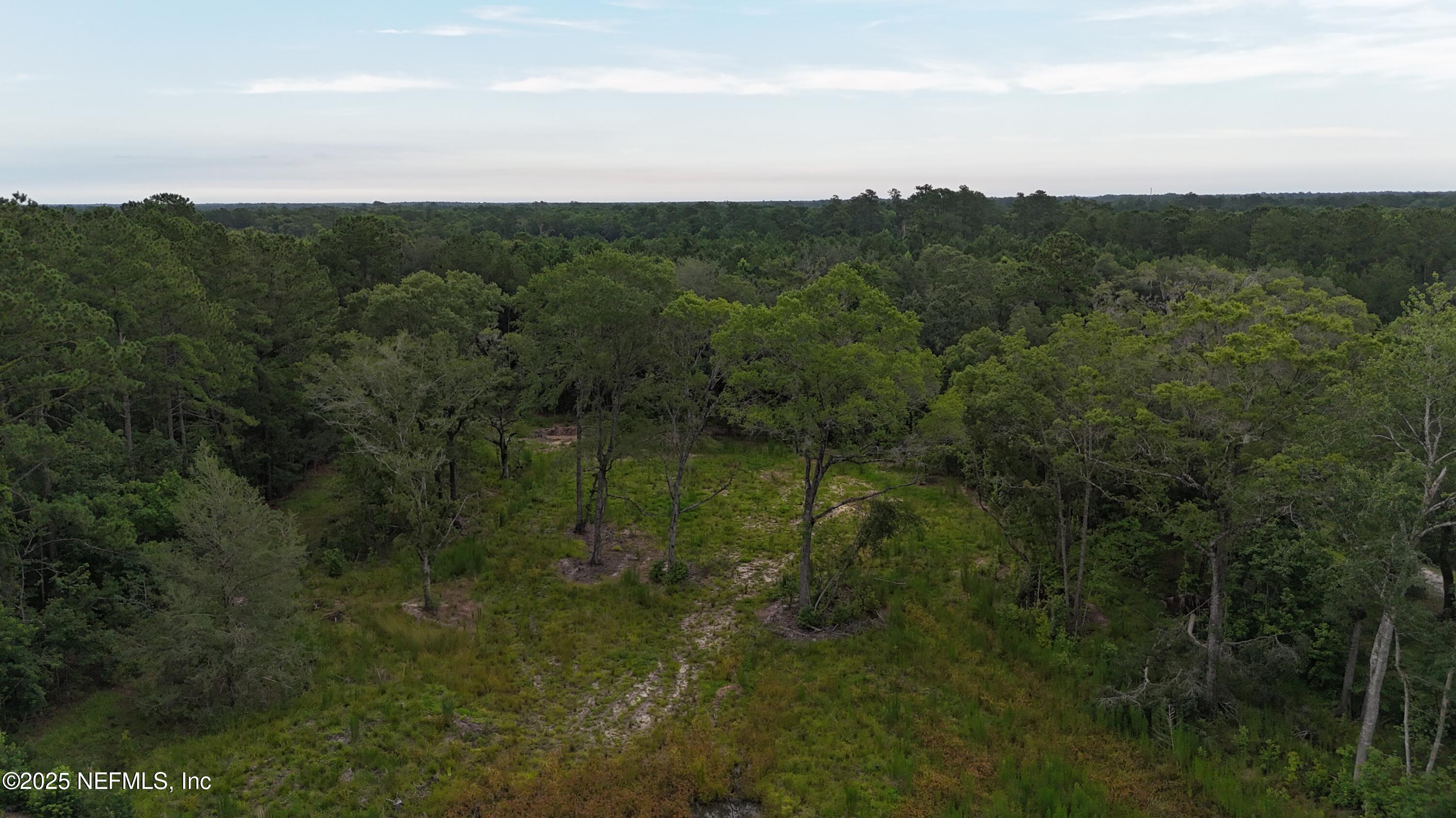 0 Wilbur Jones Road Callahan, FL 32011 - Photo 28 of 31 a view of a yard