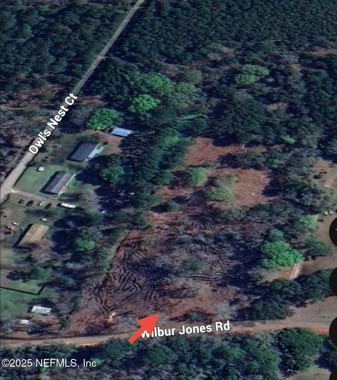 0 Wilbur Jones Road Callahan, FL 32011 - Photo 29 of 31 a view of a yard with plants