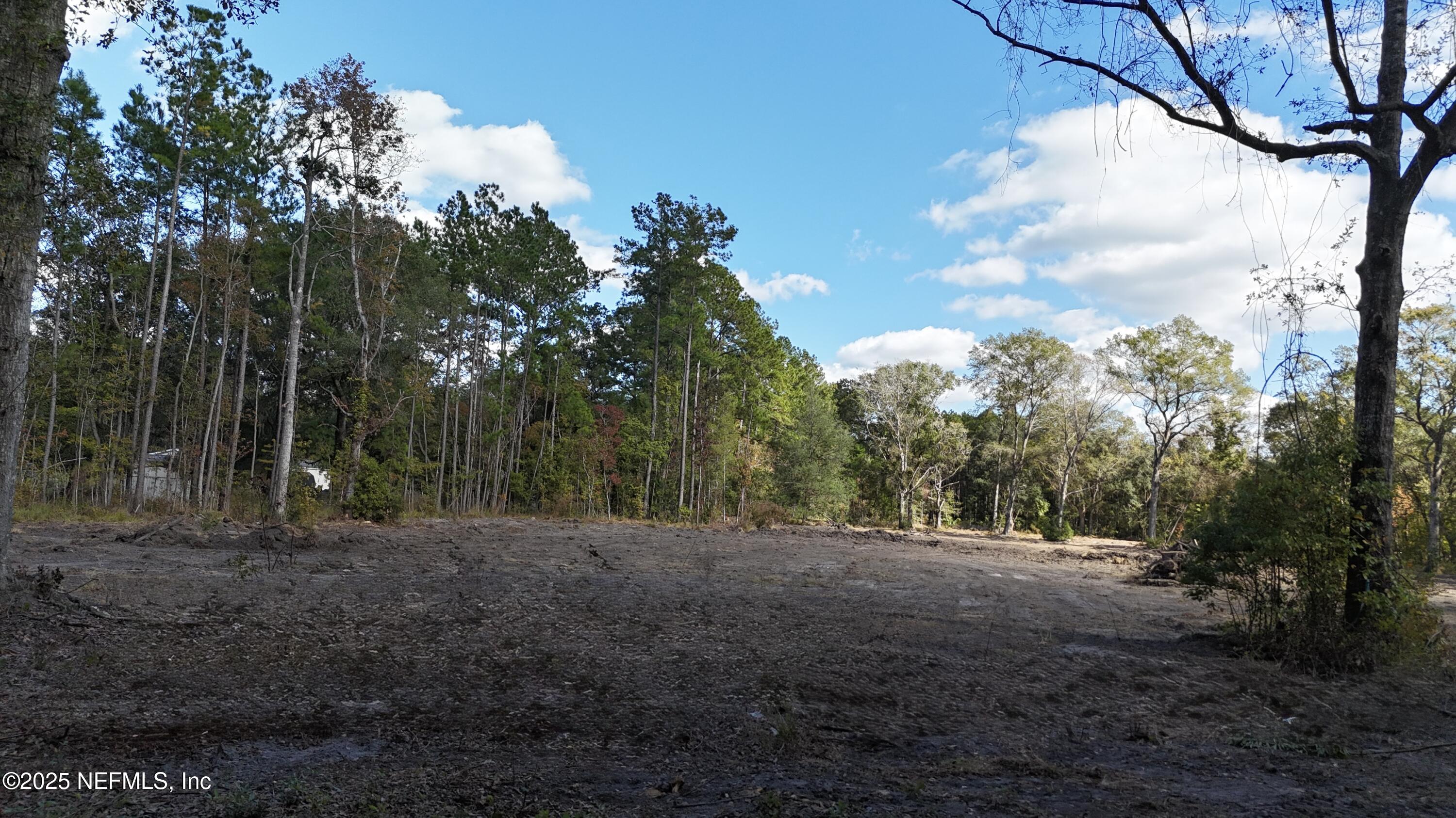 0 Wilbur Jones Road Callahan, FL 32011 - Photo 31 of 31 a view of dirt yard with a large tree