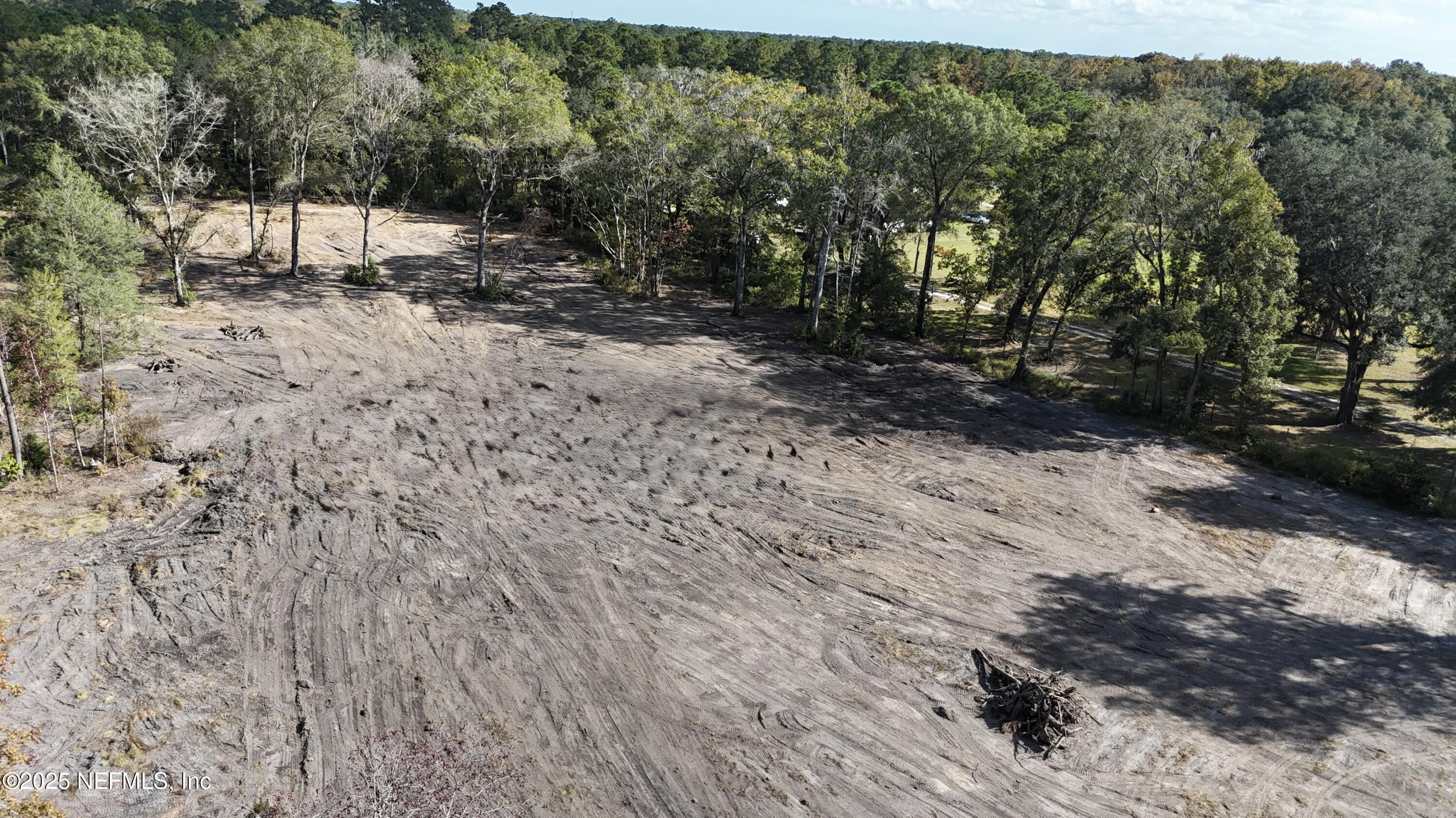 0 Wilbur Jones Road Callahan, FL 32011 - Photo 5 of 31 a view of a forest filled with trees