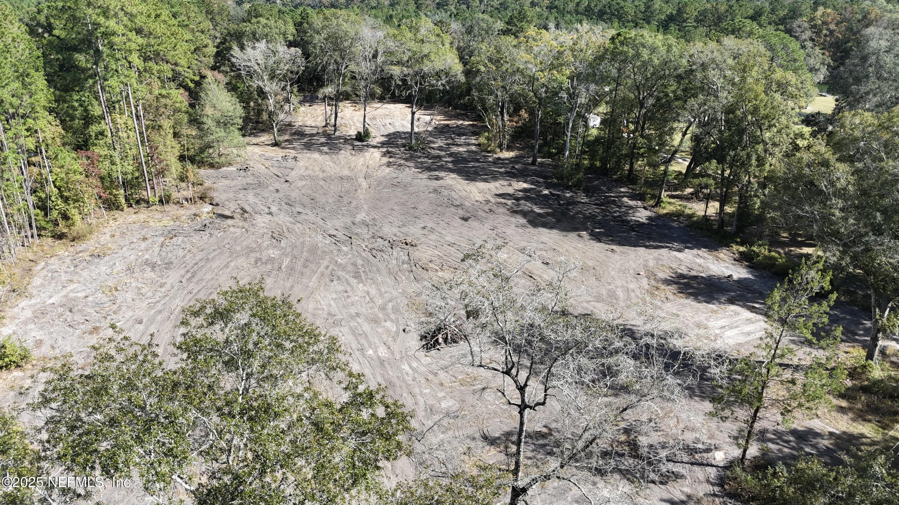 0 Wilbur Jones Road Callahan, FL 32011 - Photo 6 of 31 a view of a forest with trees