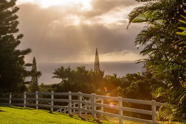 a view of a yard with sunset view