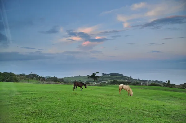 a view of three and a yard