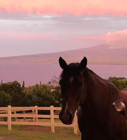 $2,900,000 | 21 Hulumanu Place, Wailuku, HI 96793