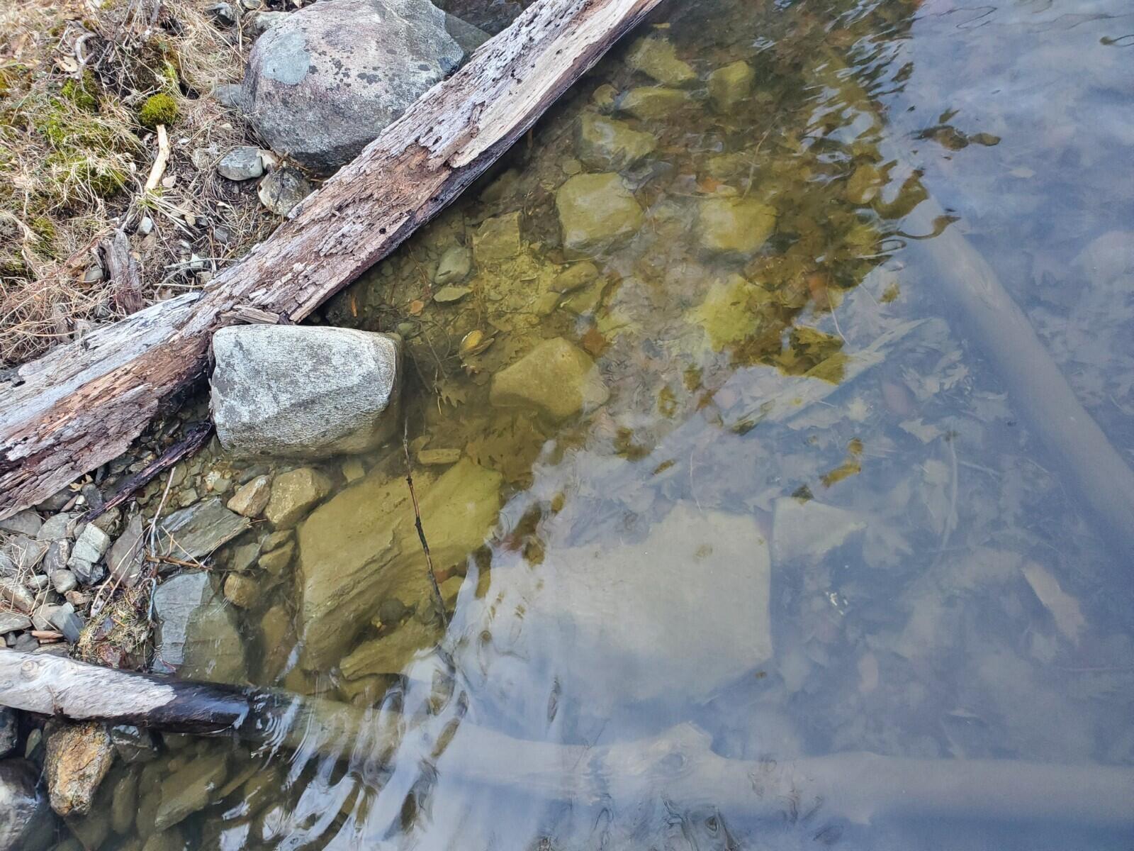 93 Wood Road Jefferson, ME 04348 - Photo 26 of 97 20210413_181823
