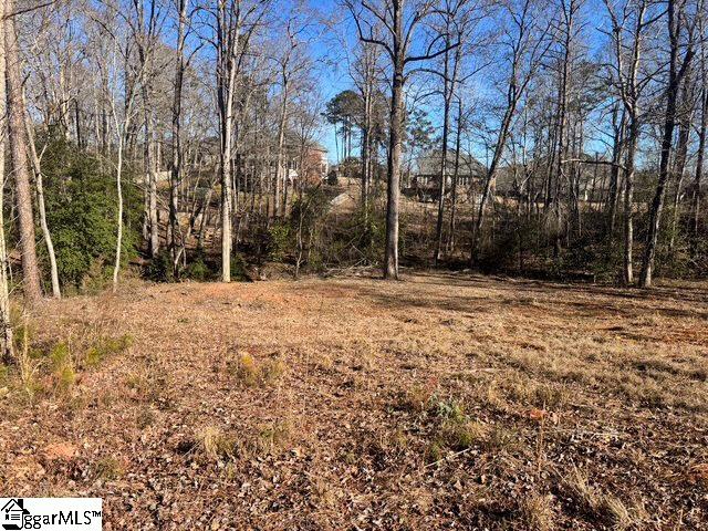 Farmington Court Moore, SC 29369 - Photo 4 of 18