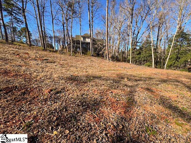 Farmington Court Moore, SC 29369 - Photo 6 of 18