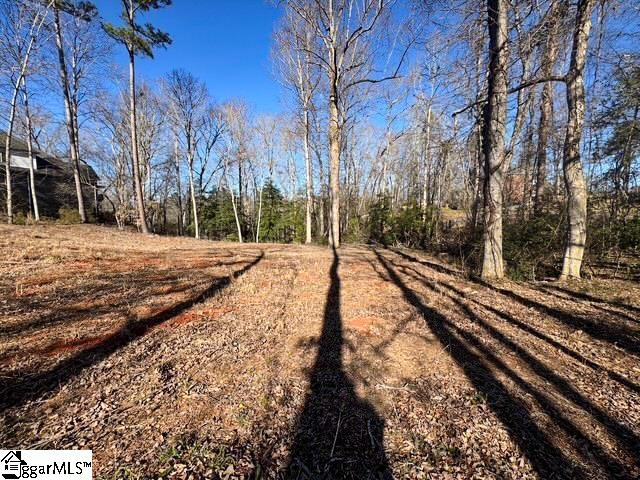 Farmington Court Moore, SC 29369 - Photo 10 of 18