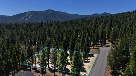 a view of a back yard