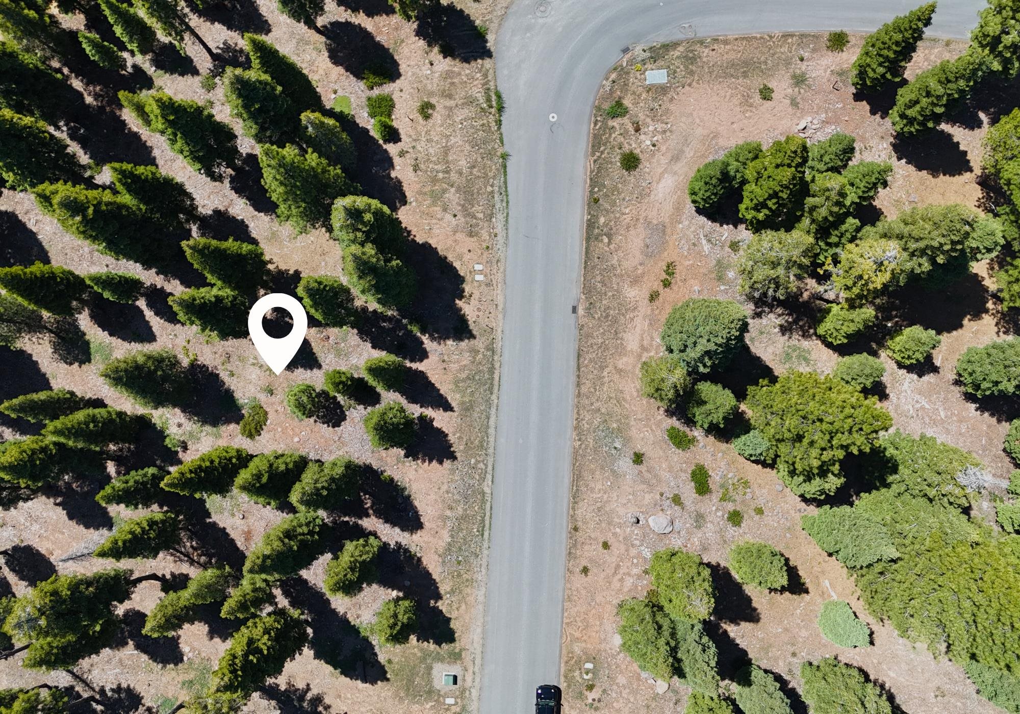 9188 Tarn Circle Truckee, CA 96161 - Photo 2 of 13 an aerial view of a house with a lot of plants