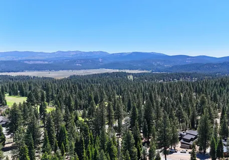 a view of a sign in a yard