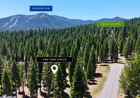 a view of a park with large trees