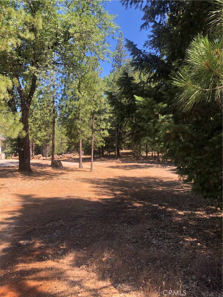 8833 Fox Drive Cobb, CA 95426 - Photo 2 of 10 a view of yard with tree in the background