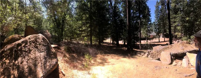 a view of outdoor space with trees