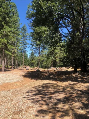 a view of a yard with a tree