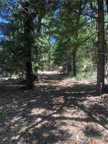 a view of dirt yard with a large tree