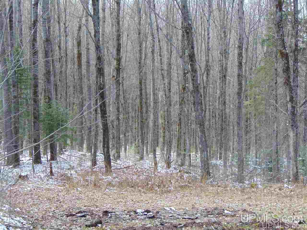 Tbd County Line Lake Road Watersmeet, MI 49969 - Photo 5 of 20 Gallery Image 5