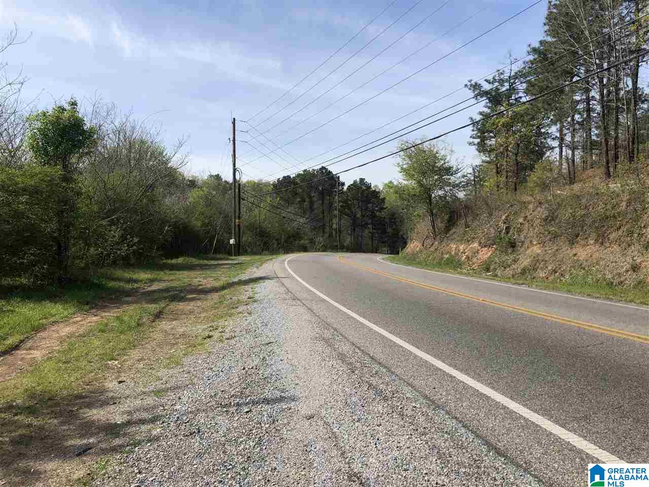 11-acres Morgan Road, Unit 11 ACRES Helena, AL 35022 - Photo 9 of 11