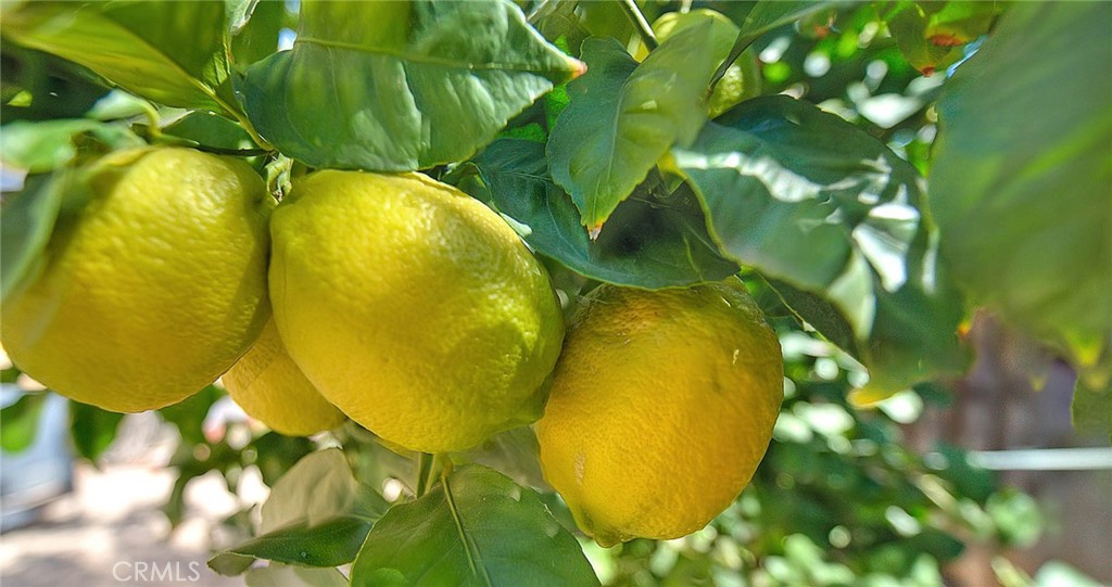 11140 Bridgepoint Court Riverside, CA 92505 - Photo 60 of 70