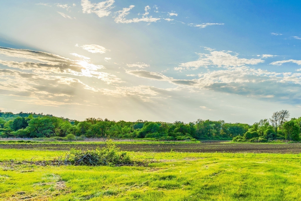 241 Shadyside Avenue Concord, MA 01742 - Photo 5 of 11