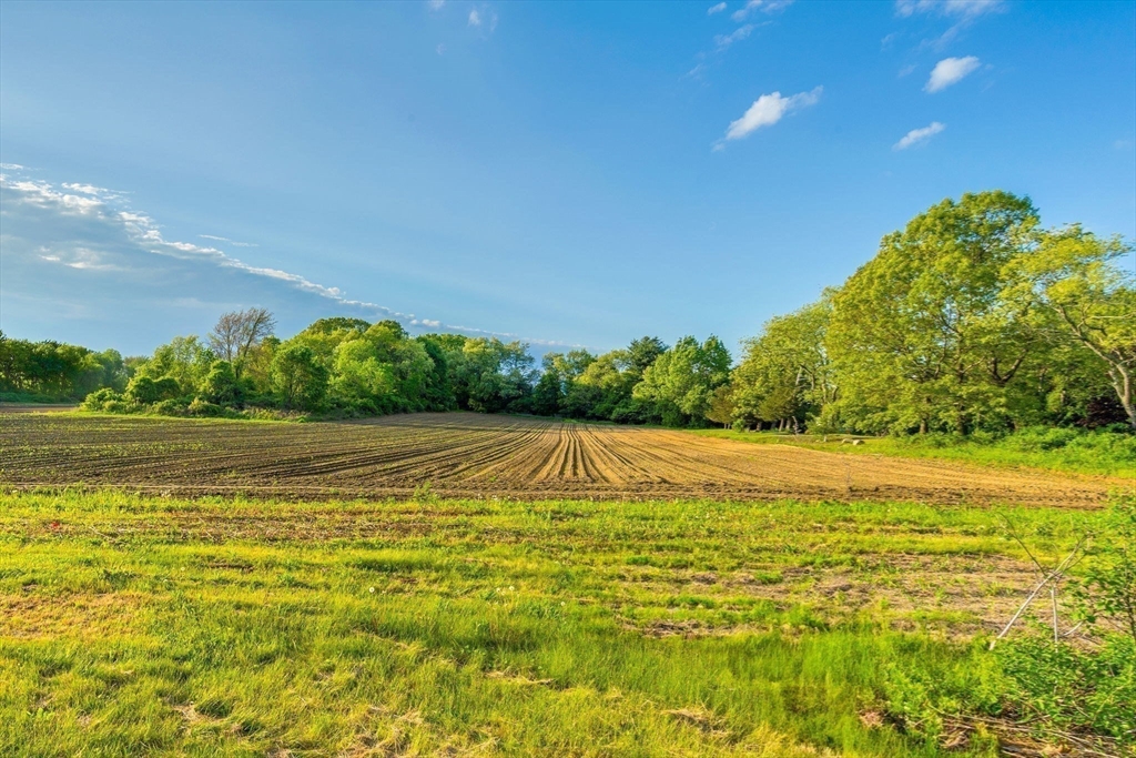 241 Shadyside Avenue Concord, MA 01742 - Photo 10 of 11