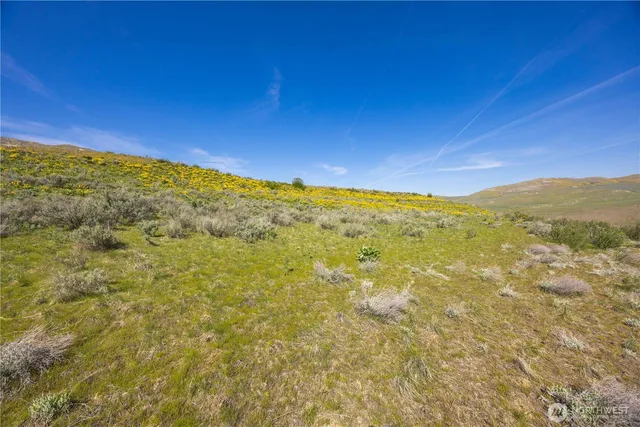 a view of a field with an ocean