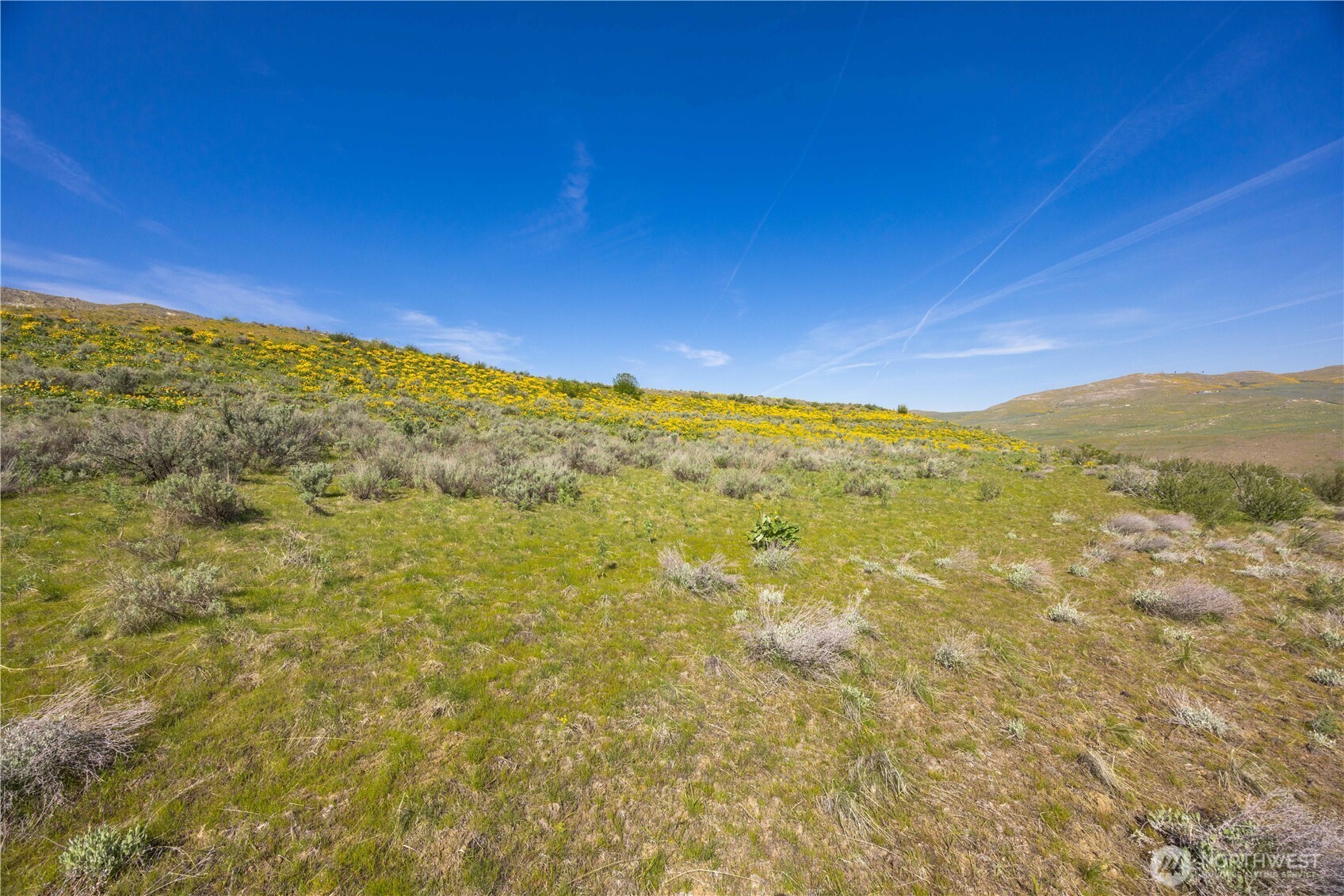 0 Goat Ridge, Unit 5 Pateros, WA 98846 - Photo 13 of 40