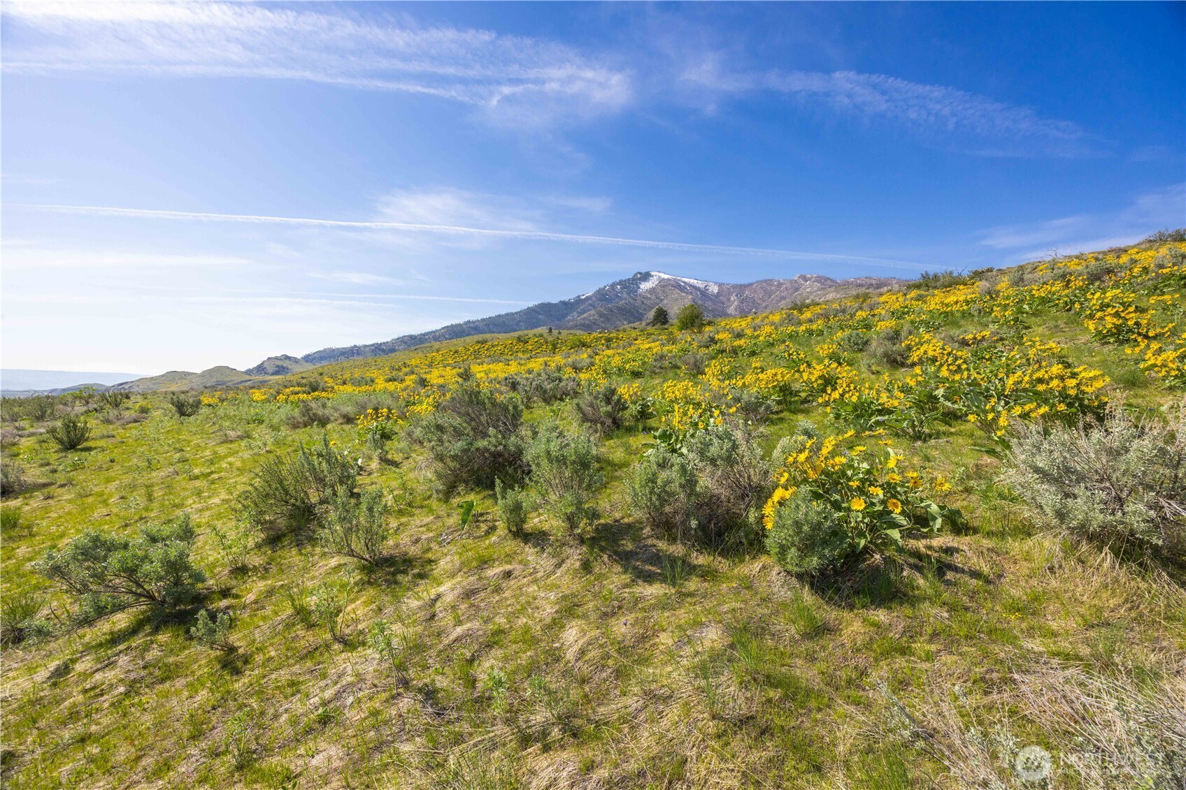 0 Goat Ridge, Unit 5 Pateros, WA 98846 - Photo 14 of 40