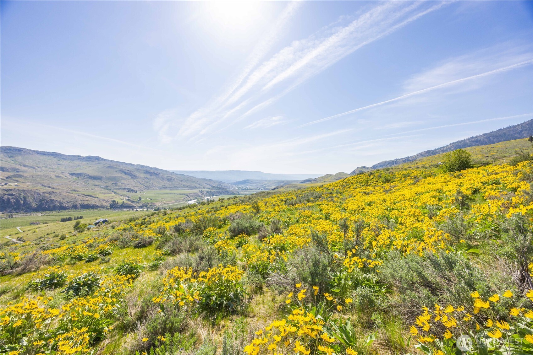 0 Goat Ridge, Unit 5 Pateros, WA 98846 - Photo 16 of 40