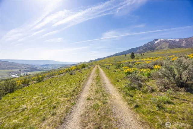 a view of an outdoor space
