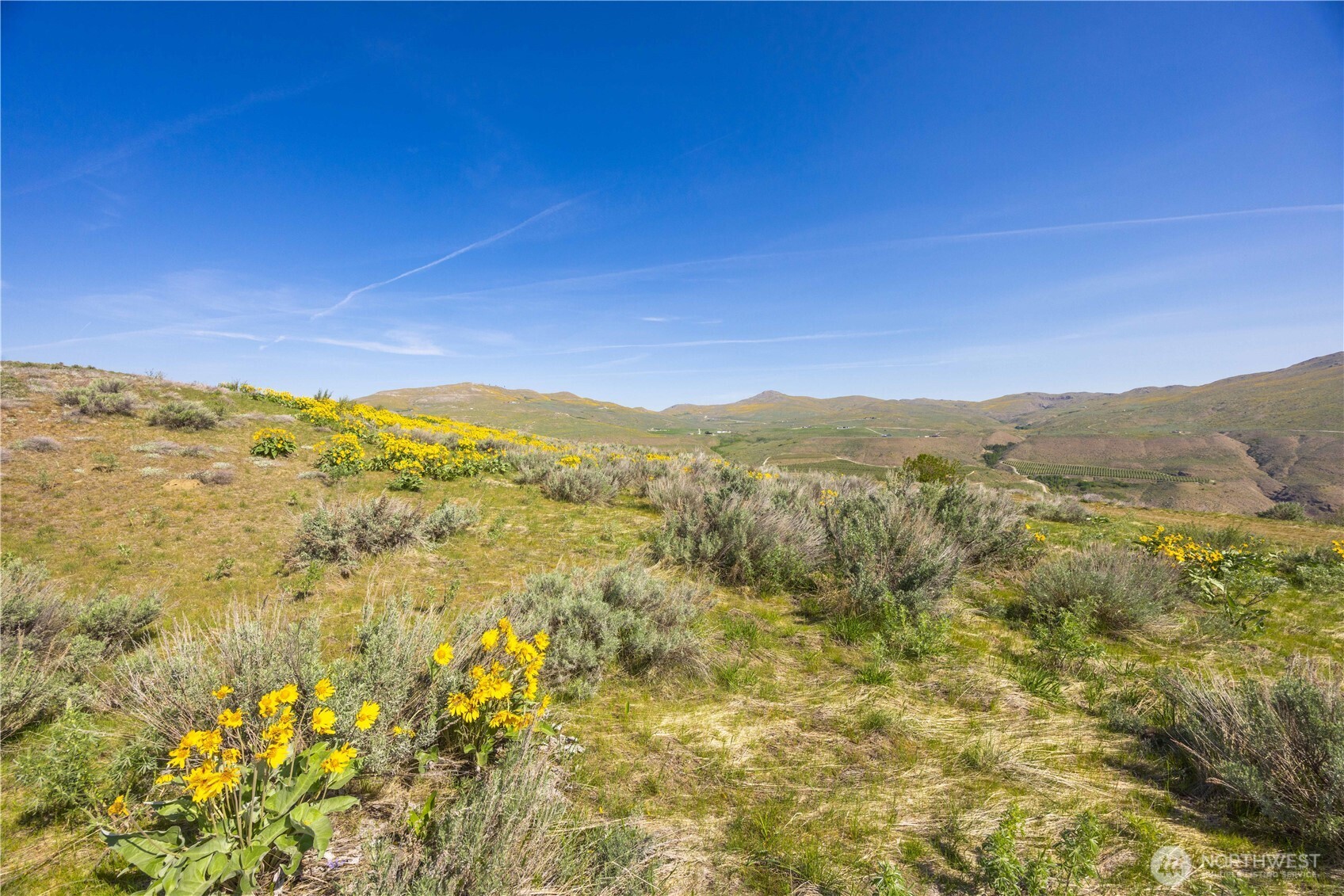 0 Goat Ridge, Unit 5 Pateros, WA 98846 - Photo 21 of 40