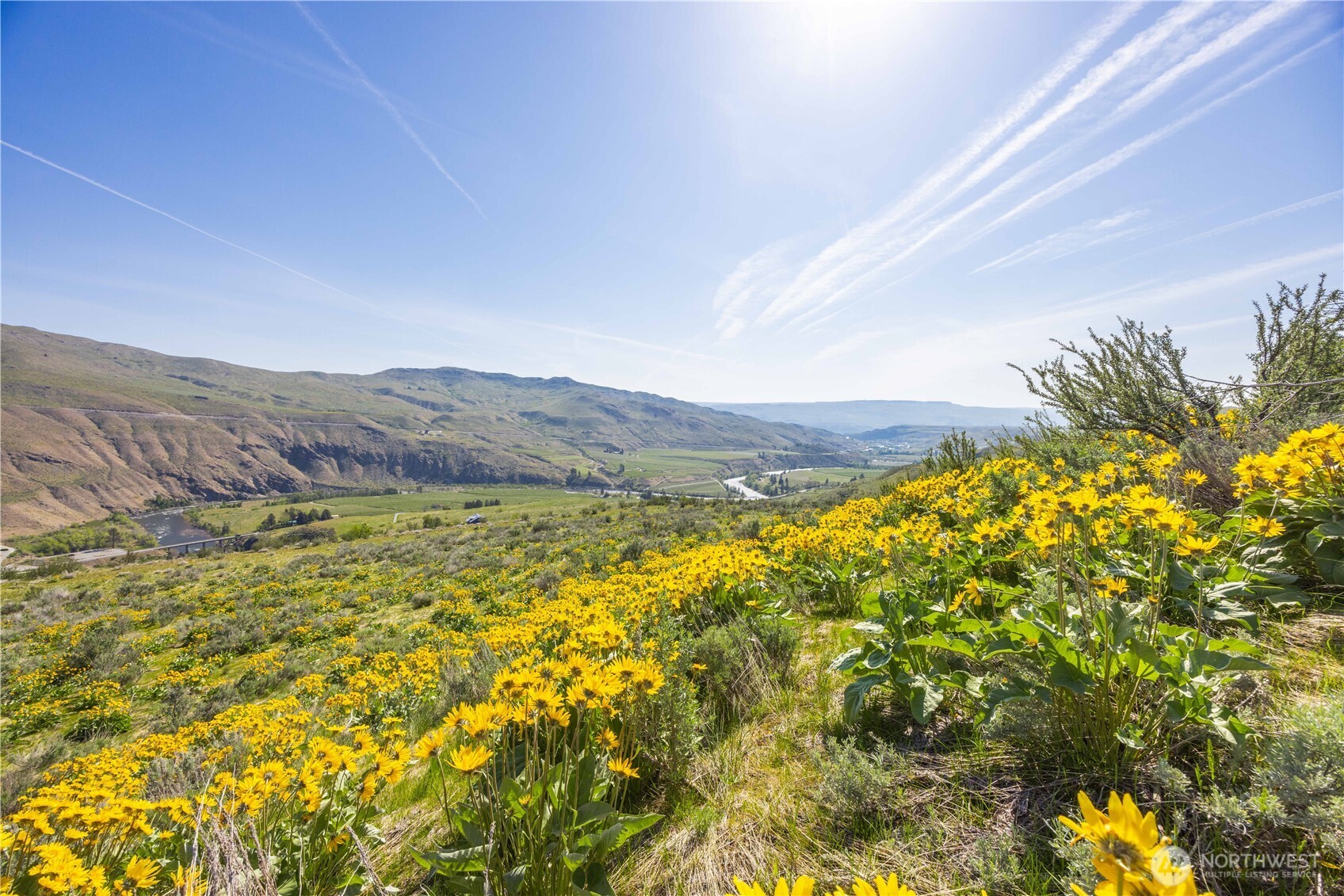 0 Goat Ridge, Unit 5 Pateros, WA 98846 - Photo 7 of 40