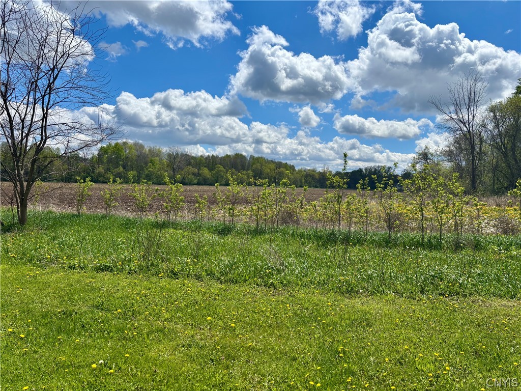 54 Fairport Road Manlius, NY 13104 - Photo 23 of 25 View from backyard