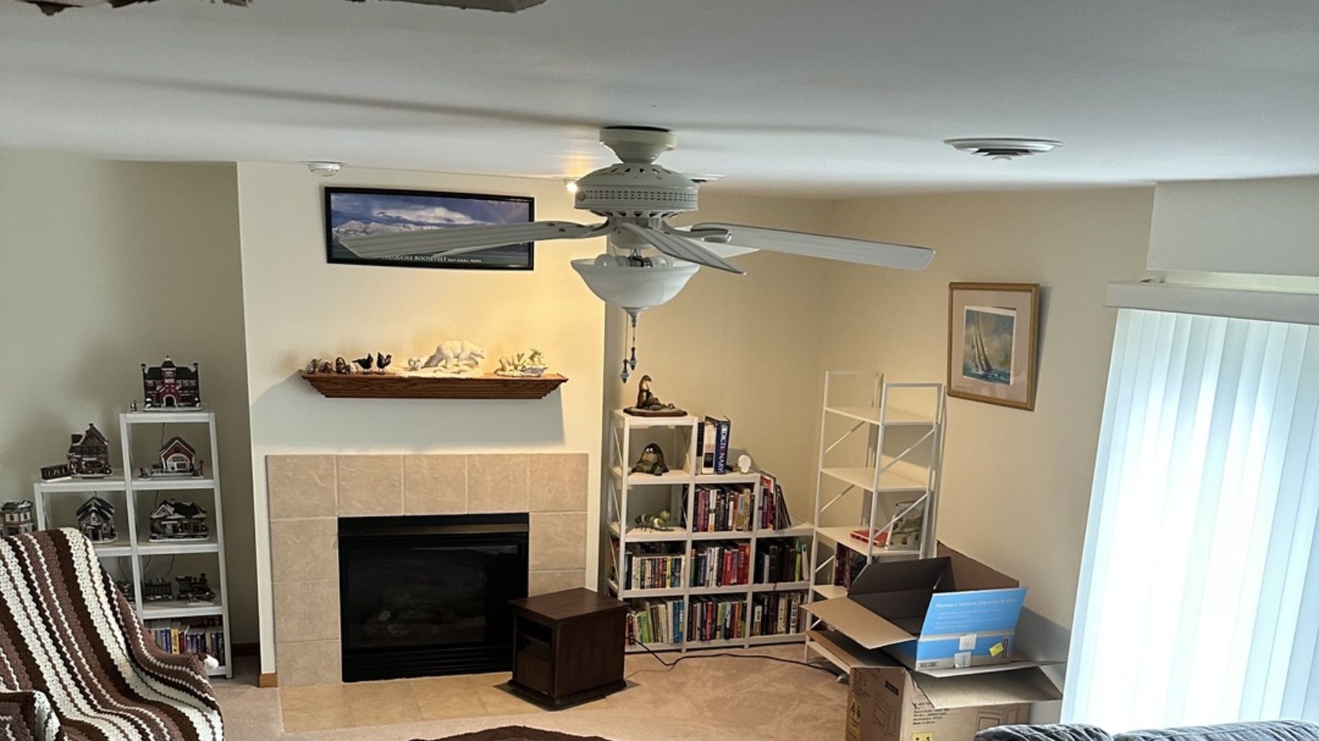 5 Emily Drive Spring Valley, IL 61362 - Photo 15 of 21 a living room with furniture and a fireplace