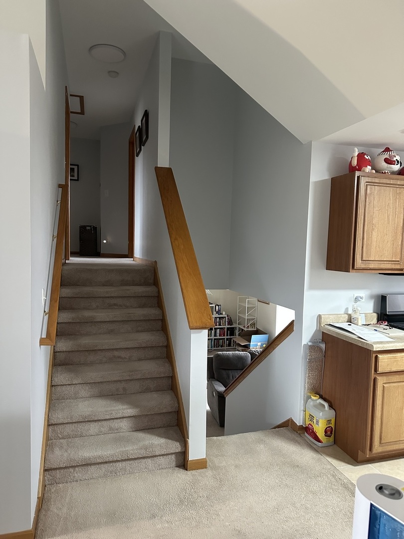 5 Emily Drive Spring Valley, IL 61362 - Photo 8 of 21 a view of entryway and hall