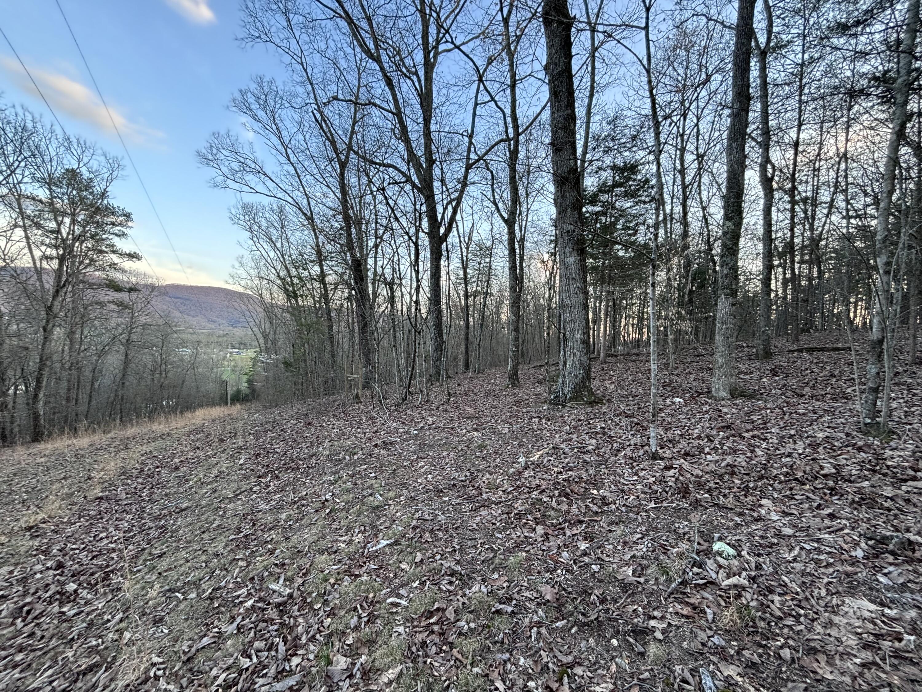 957 Hudlow Loop Road Dunlap, TN 37327 - Photo 14 of 20 IMG_1973