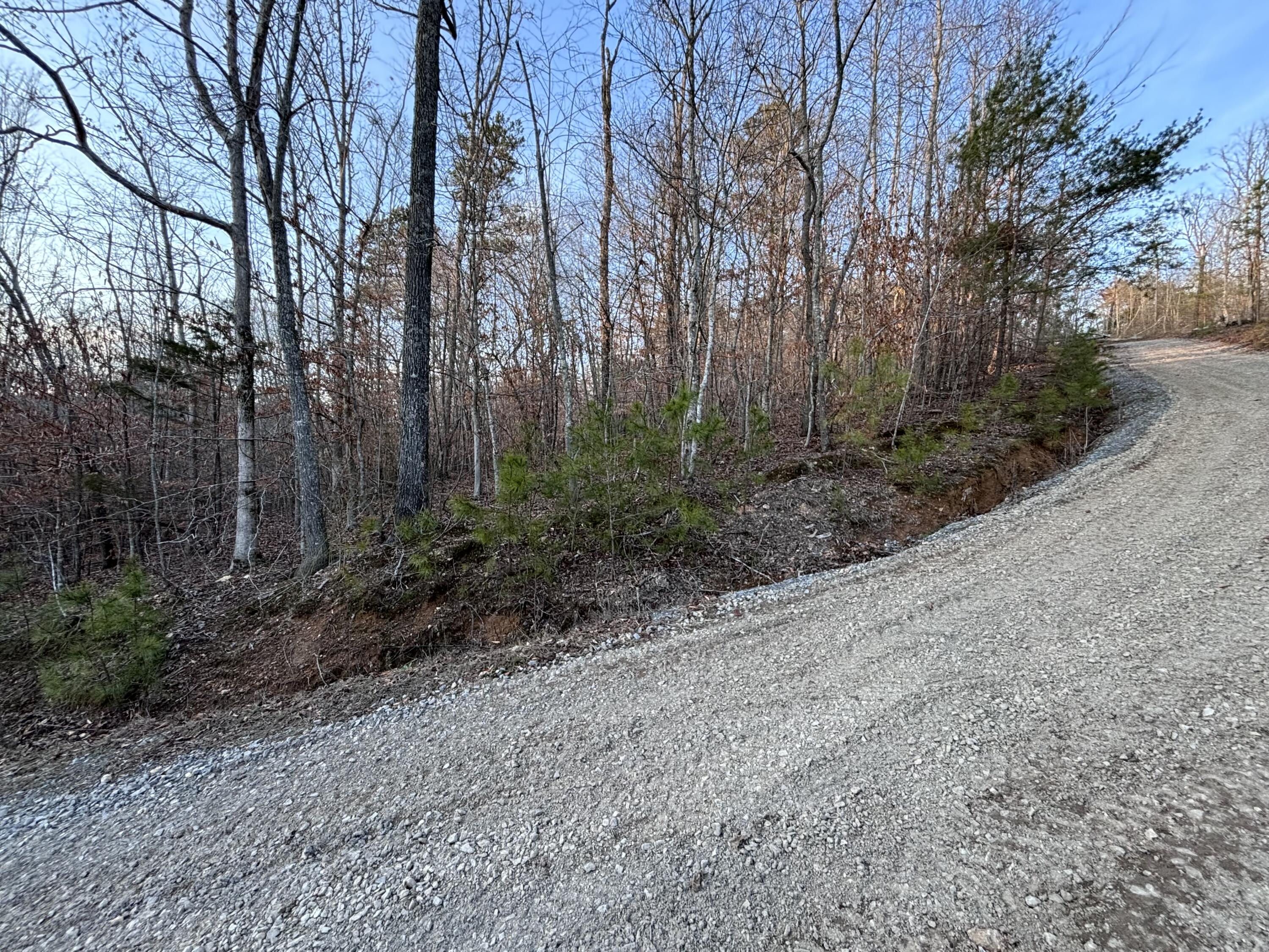 957 Hudlow Loop Road Dunlap, TN 37327 - Photo 17 of 20 IMG_1955