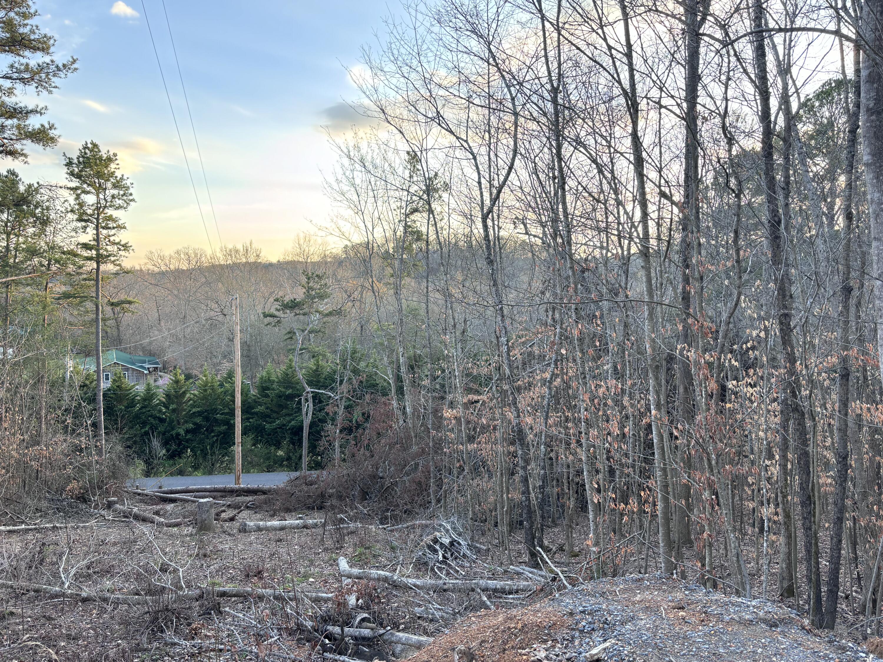 957 Hudlow Loop Road Dunlap, TN 37327 - Photo 20 of 20 IMG_1957