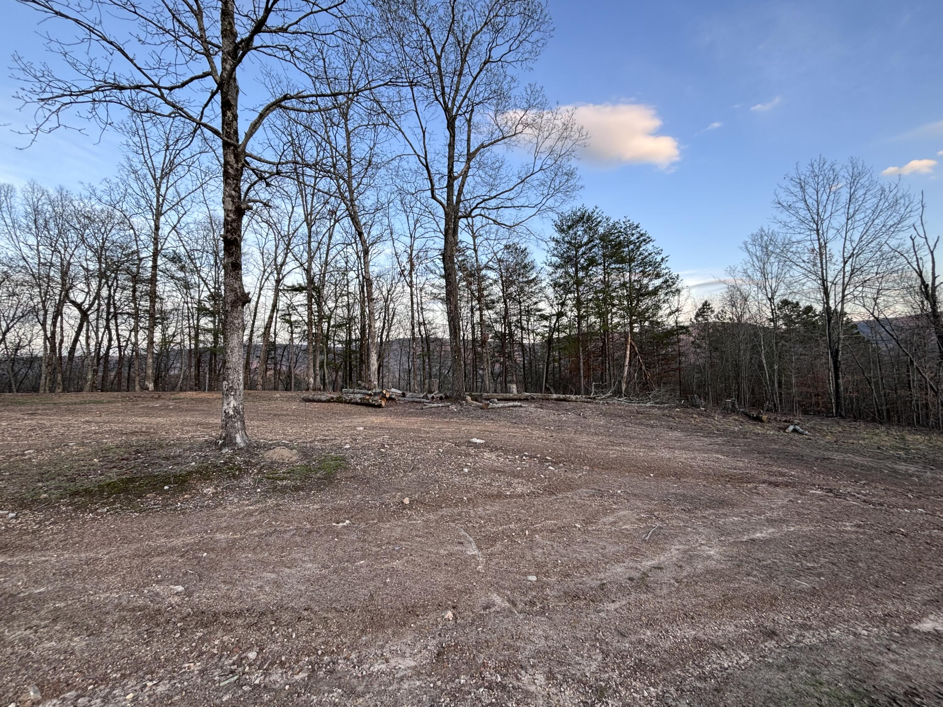 957 Hudlow Loop Road Dunlap, TN 37327 - Photo 3 of 20 IMG_1971