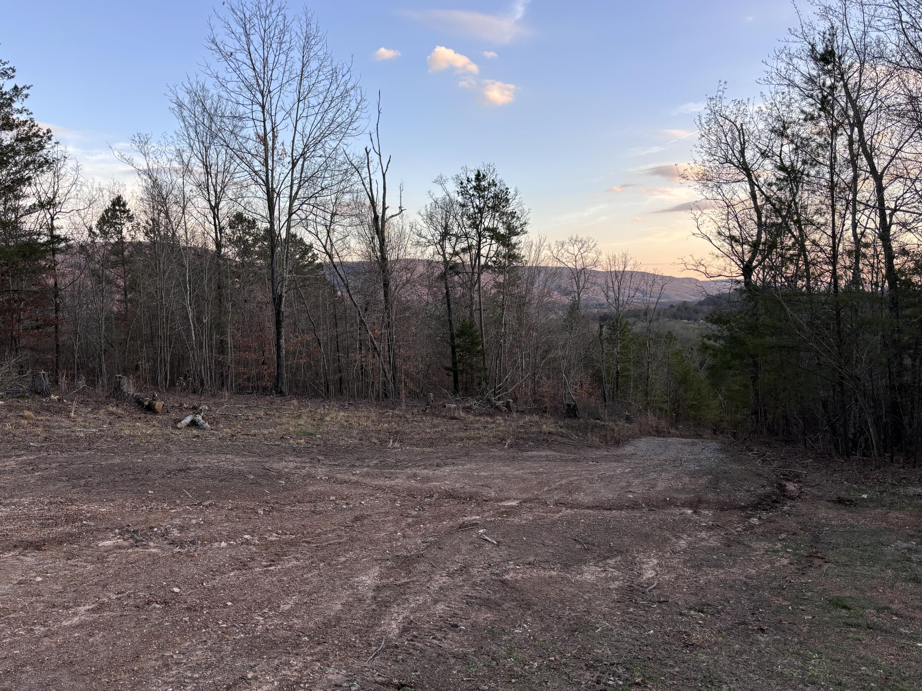 957 Hudlow Loop Road Dunlap, TN 37327 - Photo 4 of 20 IMG_1966