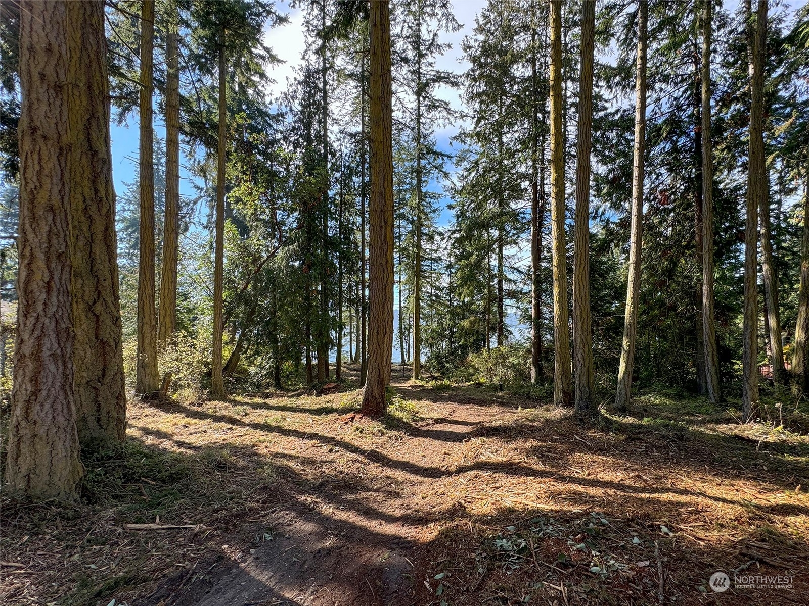 795 East Sequim Bay Road Sequim, WA 98382 - Photo 11 of 36 a view of outdoor space with trees