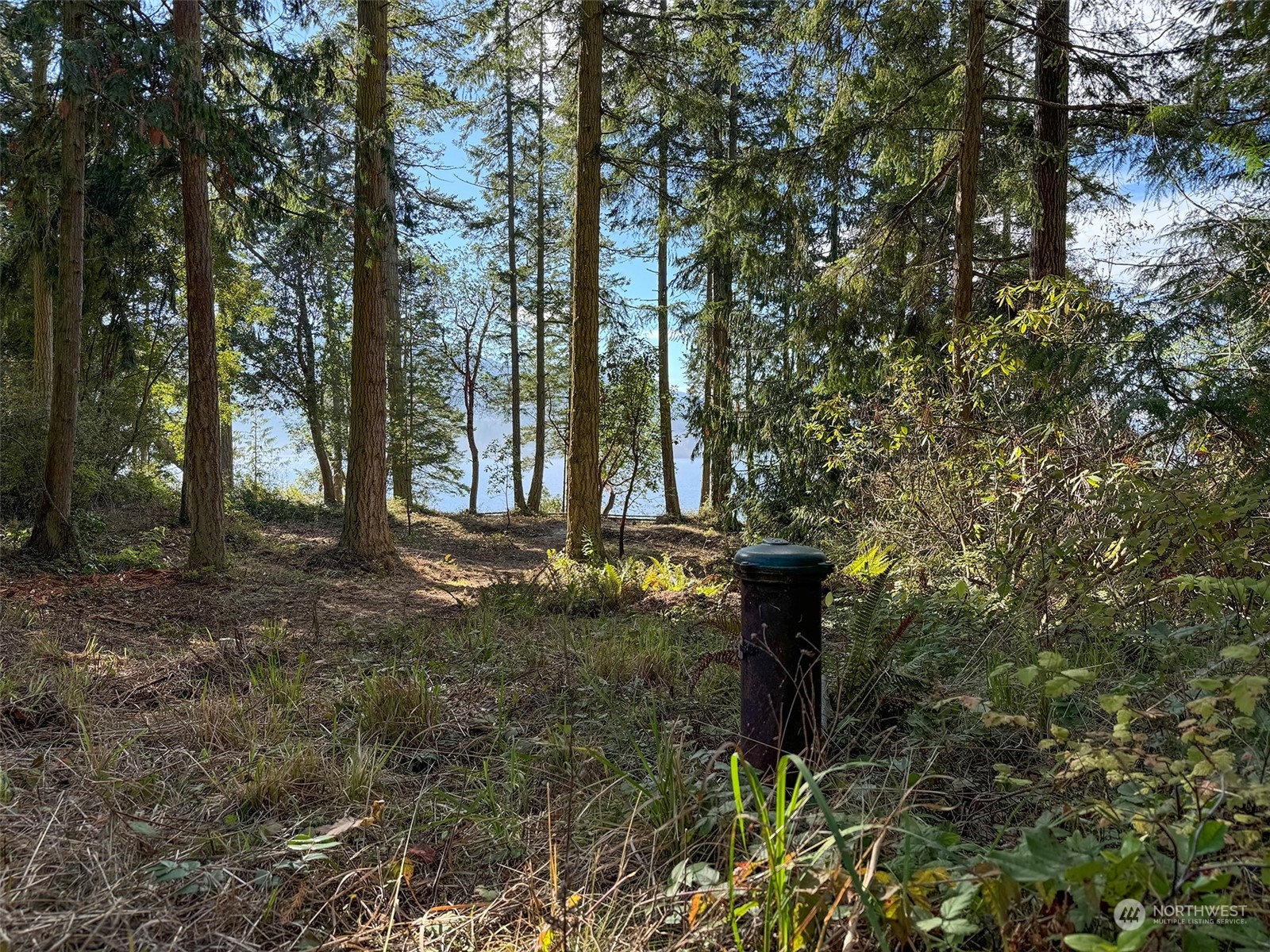 795 East Sequim Bay Road Sequim, WA 98382 - Photo 14 of 36 a view of a yard with large trees