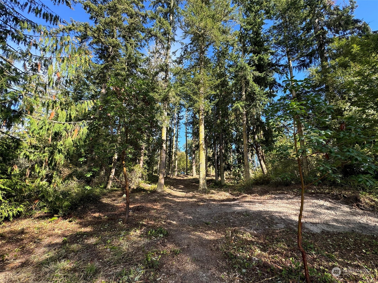 795 East Sequim Bay Road Sequim, WA 98382 - Photo 26 of 36 a view of outdoor space with trees